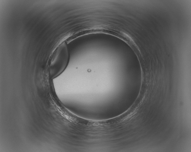X0000052630827200507011318