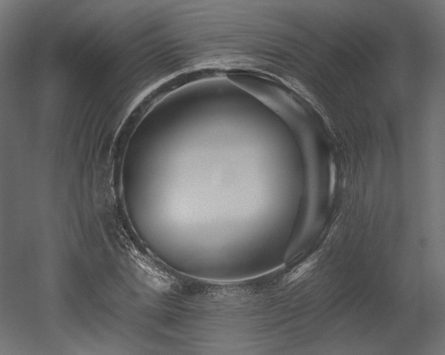 X0000052630830200507011318