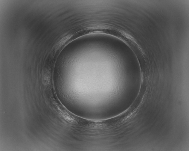 X0000052630833200507011318