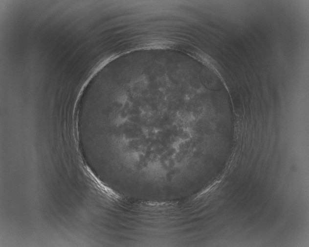 X0000052630835200507011318
