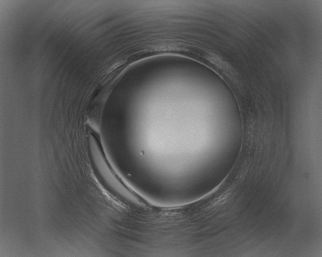 X0000052630841200507011318