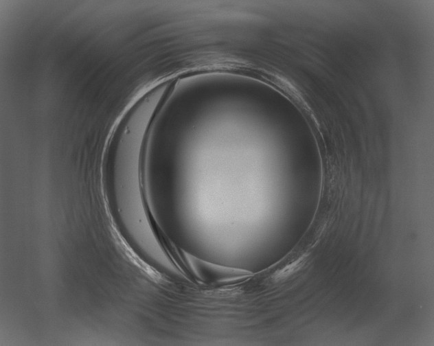 X0000052630843200507011318