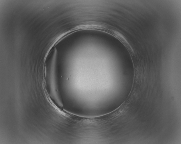X0000052630852200507011318