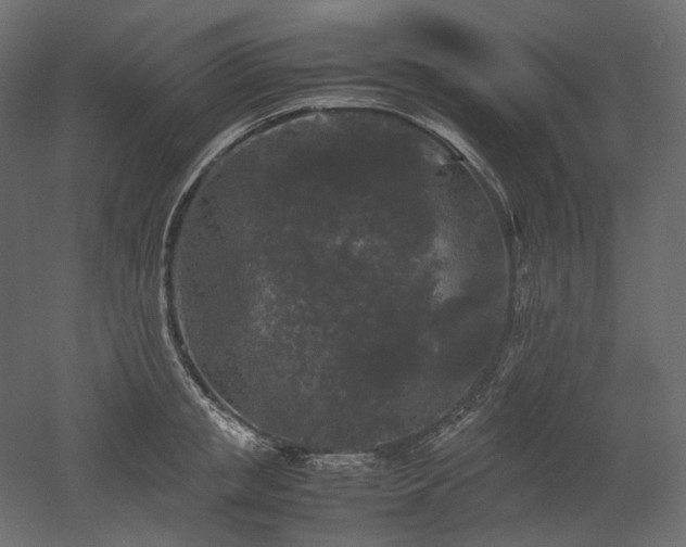 X0000052630853200507011318