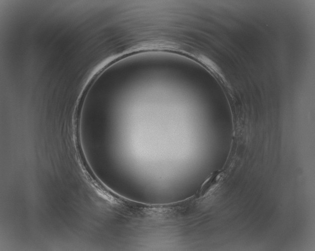 X0000052630854200507011318