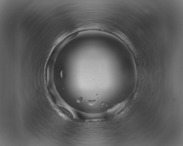 X0000052630858200507011318