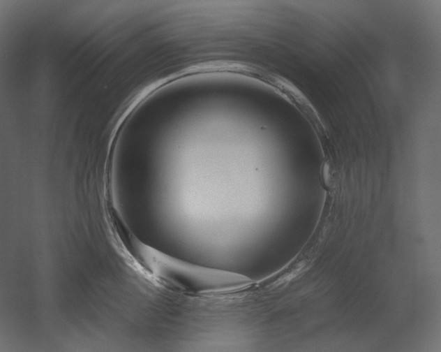 X0000052630860200507011318