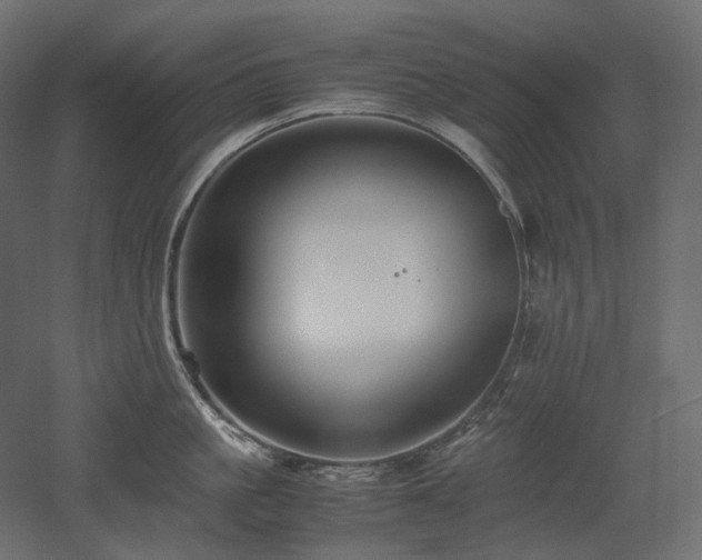 X0000052630861200507011318