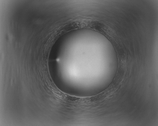 X0000052630865200507011317