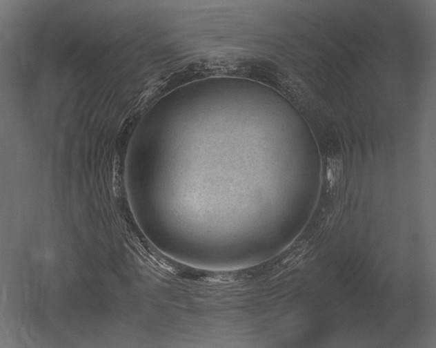 X0000052630867200507011317