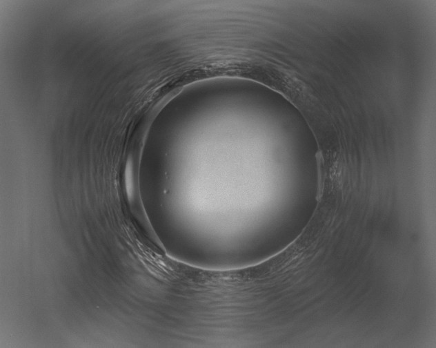 X0000052630868200507011317