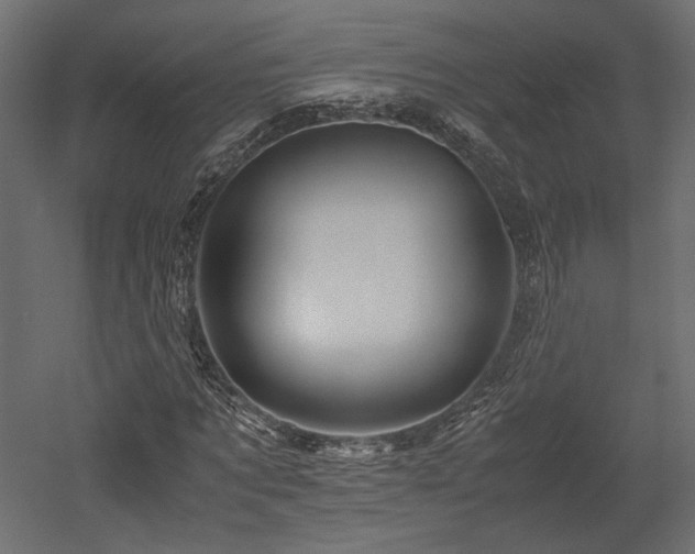 X0000052630869200507011317