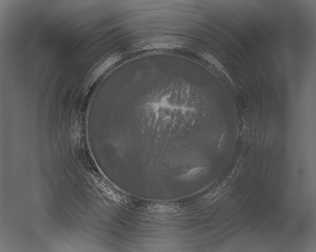 X0000052630874200507011317