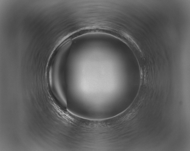 X0000052630876200507011317