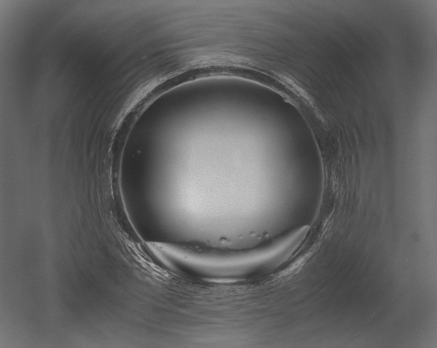X0000052630877200507011317