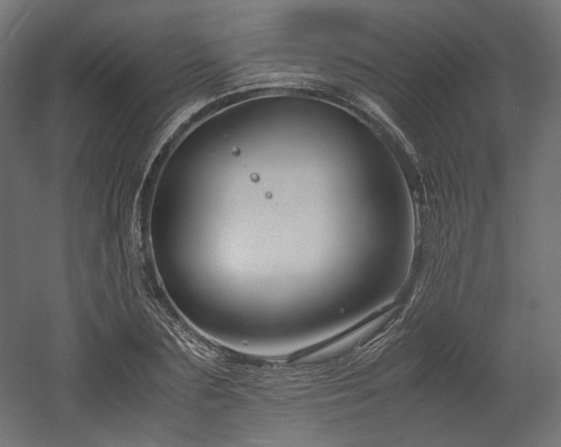 X0000052630883200507011317