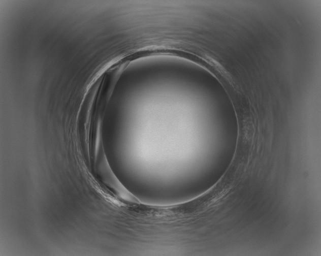 X0000052630885200507011317