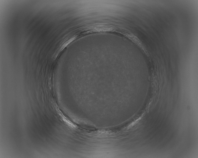 X0000052630889200507011317