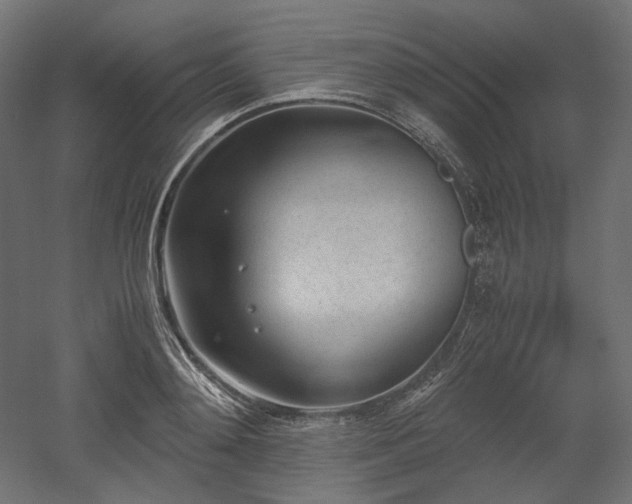 X0000052630892200507011317