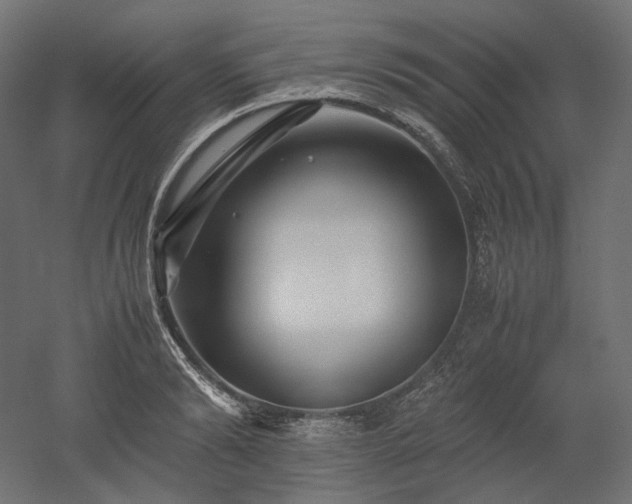 X0000052630894200507011317