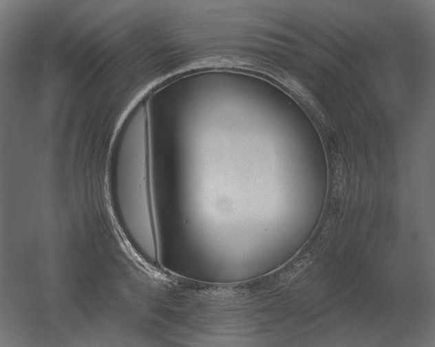 X0000052630896200507011317