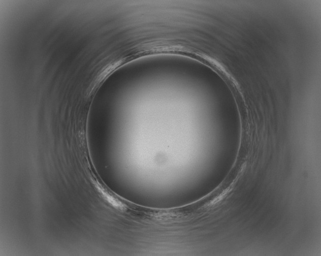 X0000052630897200507011317