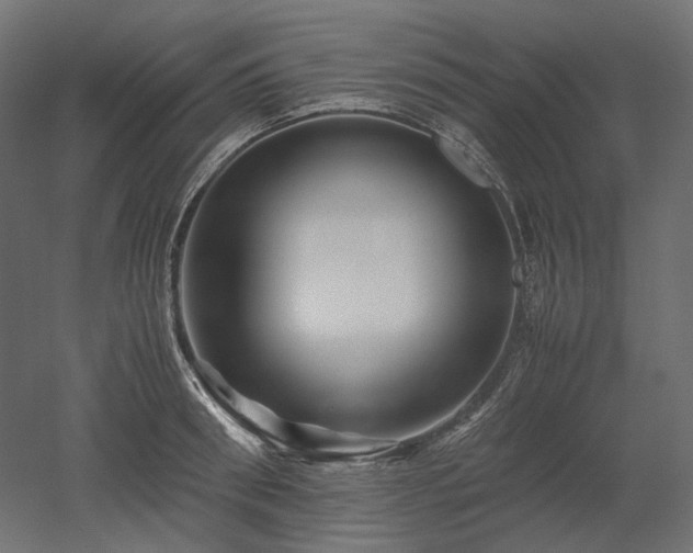 X0000052630898200507011317