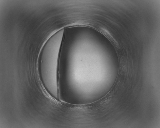 X0000052630900200507011317
