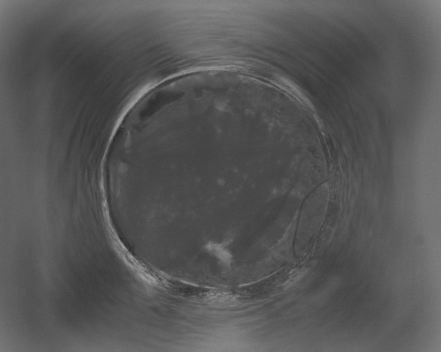 X0000052630907200507011317