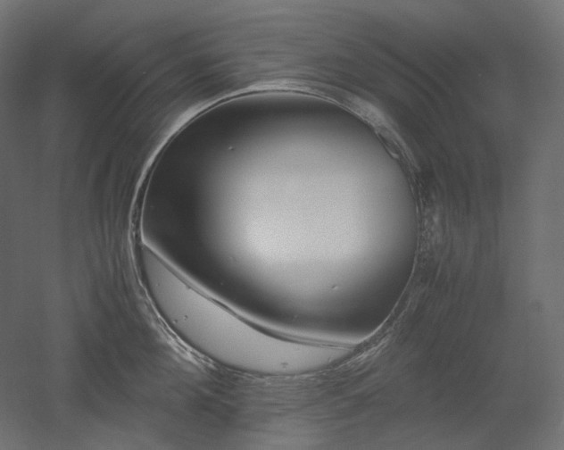 X0000052630908200507011317