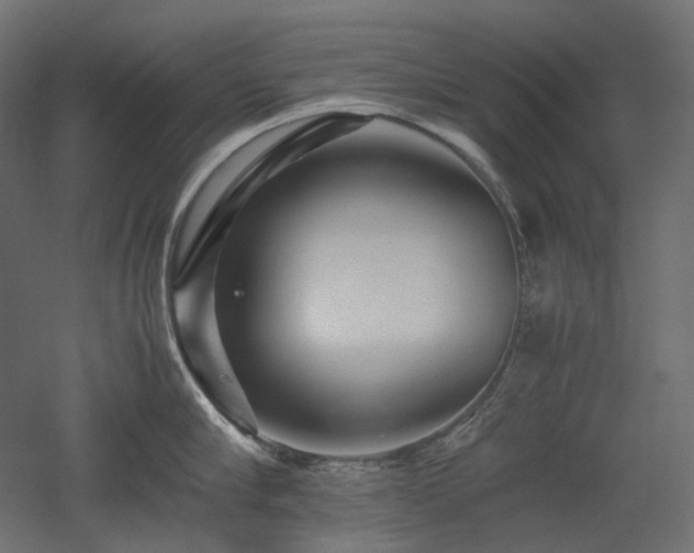 X0000052630910200507011317