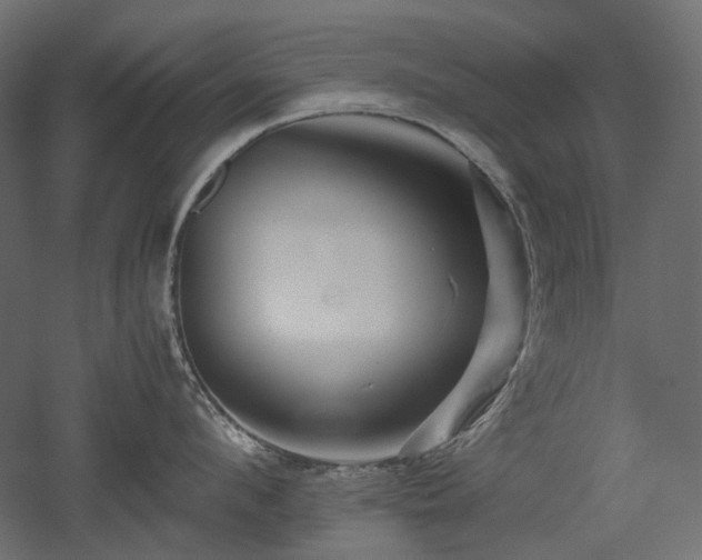 X0000052630912200507011317