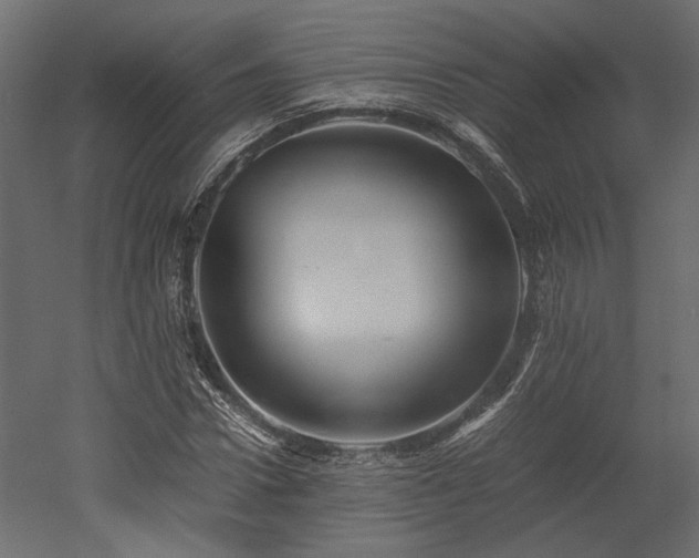 X0000052630922200507011316