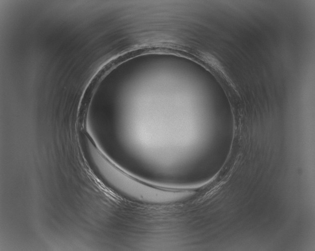 X0000052630924200507011316