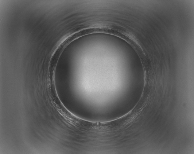 X0000052630927200507011316