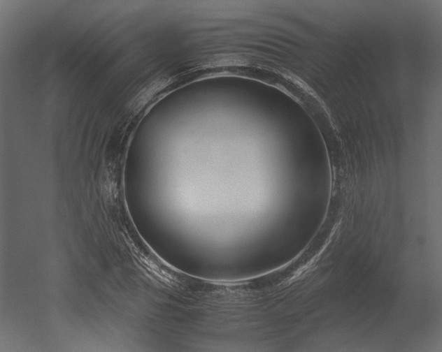 X0000052630929200507011316