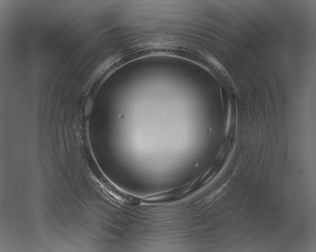 X0000052630930200507011316