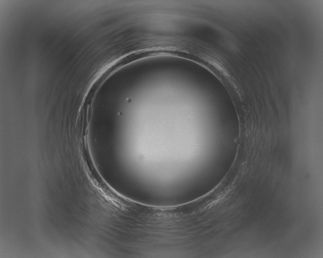 X0000052630933200507011316