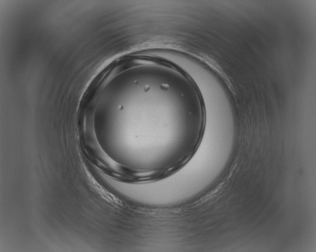 X0000052630934200507011316