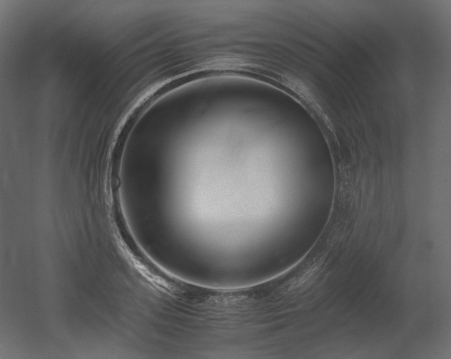 X0000052630939200507011316