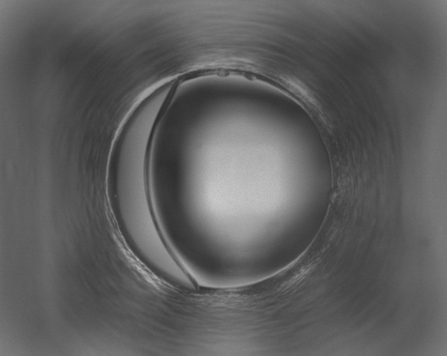 X0000052630940200507011316