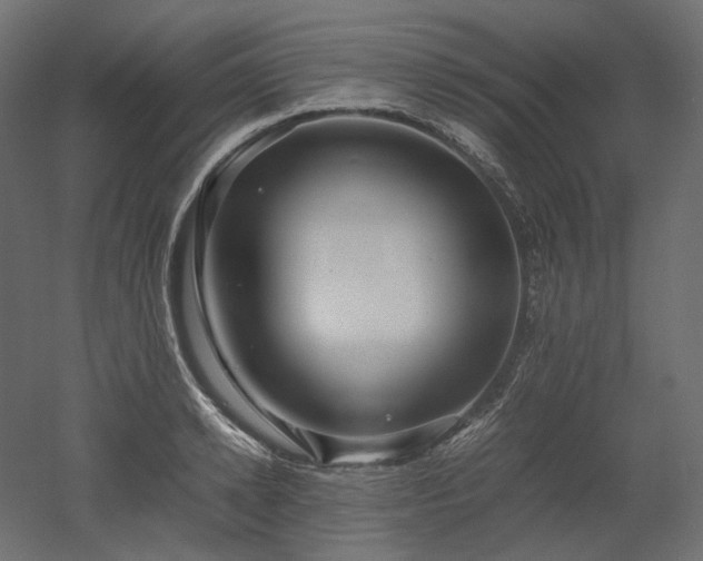 X0000052630942200507011316