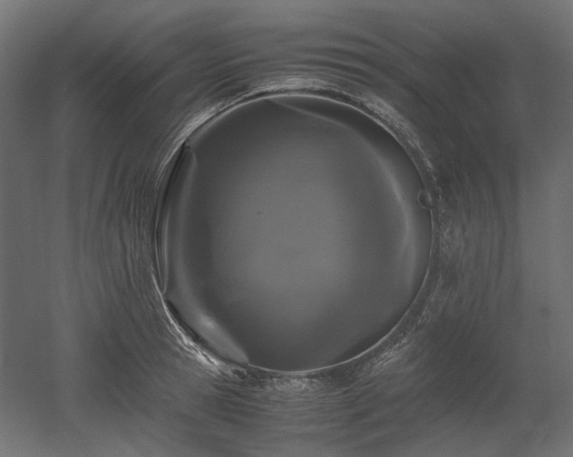 X0000052630945200507011316
