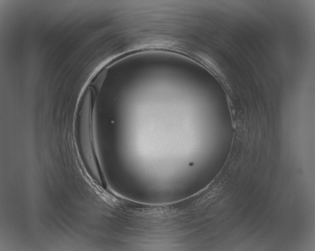X0000052630948200507011316