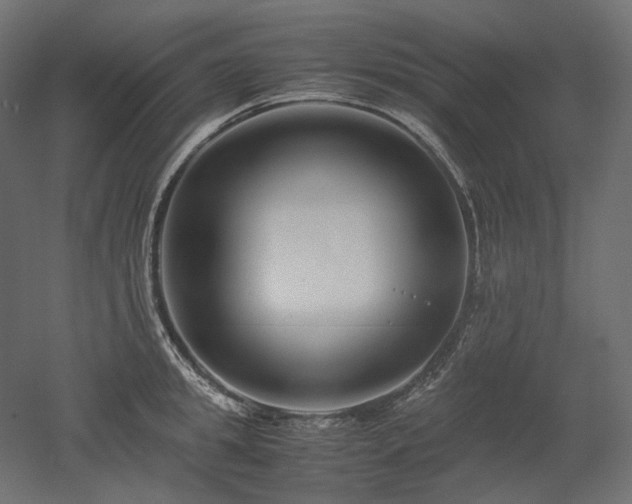 X0000052630949200507011316