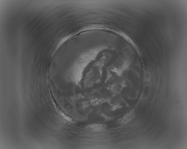 X0000052630953200507011316