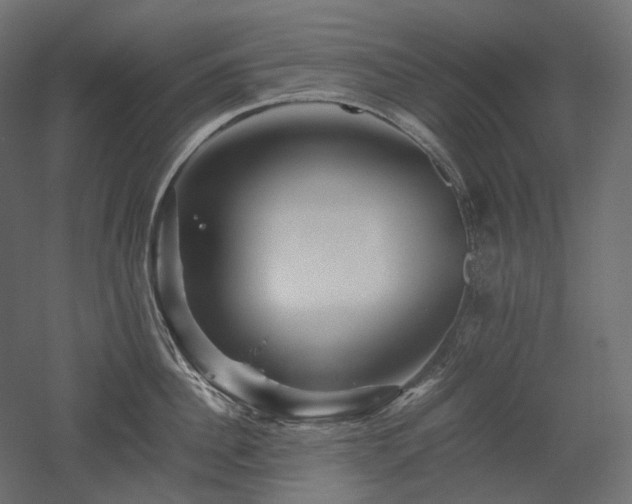 X0000052630956200507011316