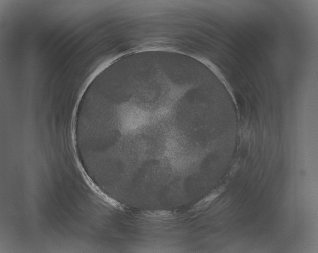 X0000052630957200507011316