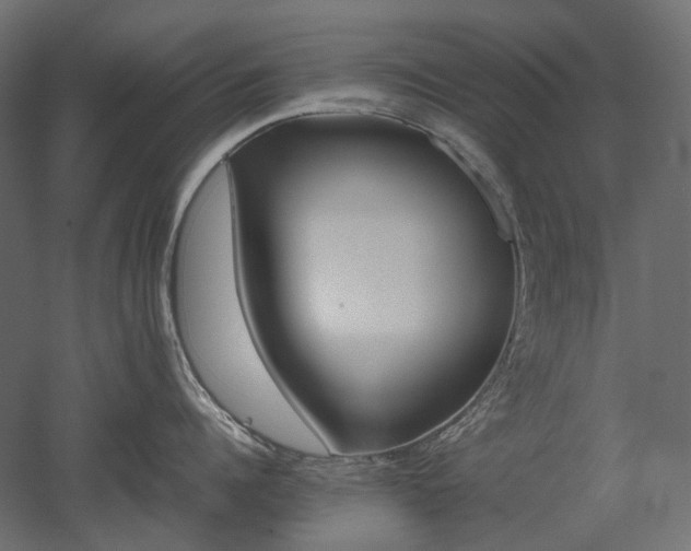 X0000052630960200507011316