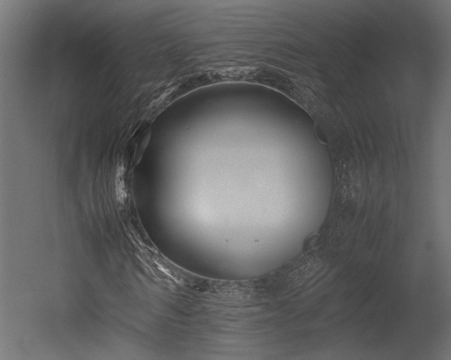 X0000052630962200507011316